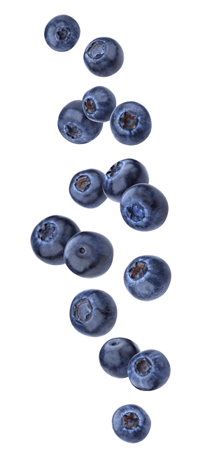 flying blueberry